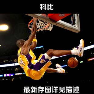 买假的阿拉巴马州驾照多少钱